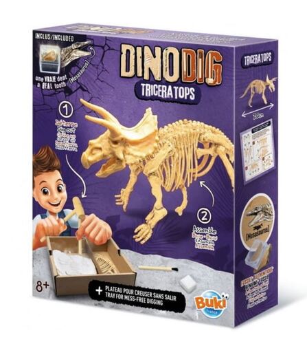 Výkop dinosaurov  Triceratops