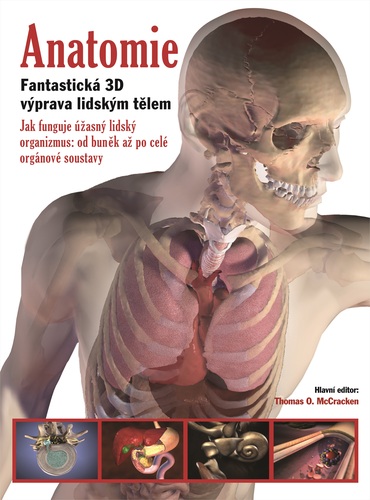 Anatomie