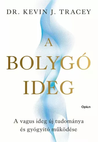 A bolygóideg