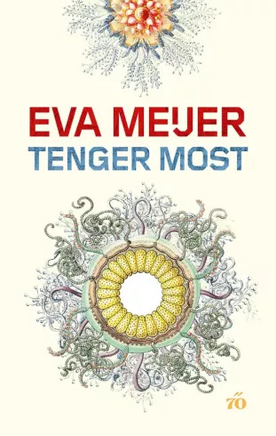 Tenger Most