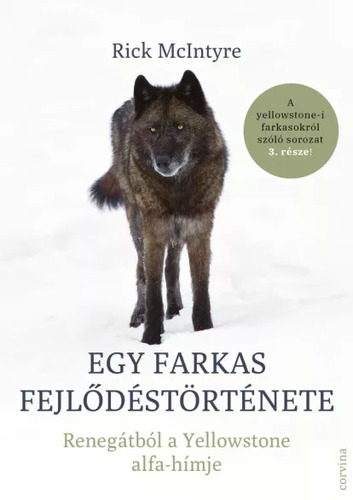 Egy farkas fejlődéstörténete