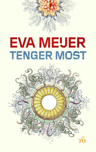 Tenger Most