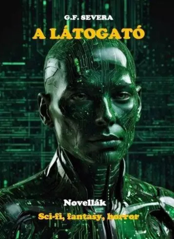 A látogató