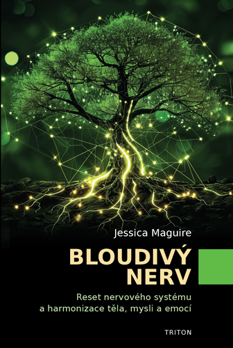 Bloudivý nerv