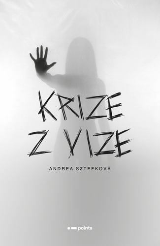 Krize z vize