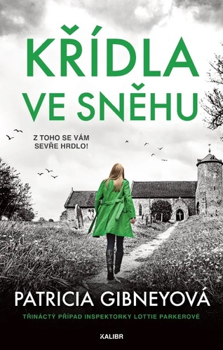 Křídla ve sněhu