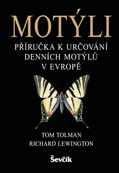 Motýli