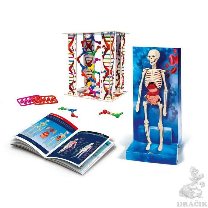 Science & Play Ľudské telo  Clementoni