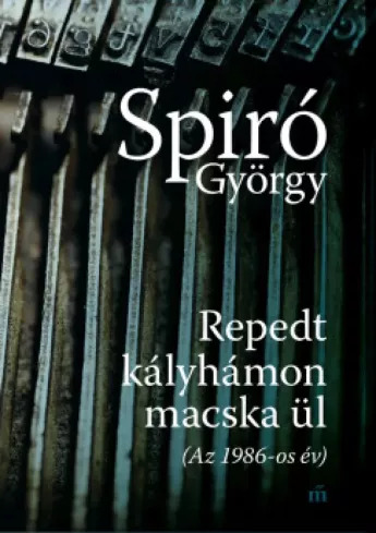 Repedt kályhámon macska ül