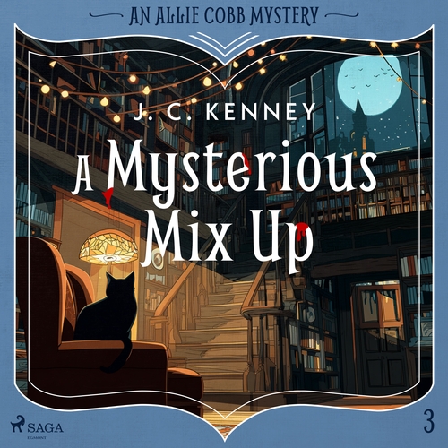 A Mysterious Mix Up (EN)