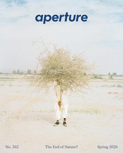 Aperture No. 262