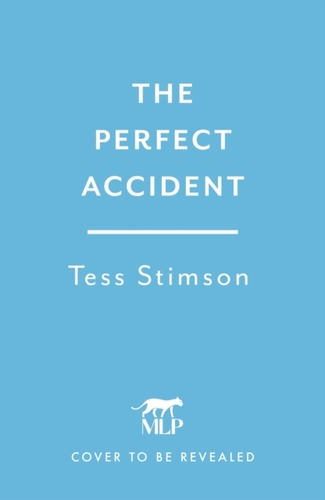 The Perfect Accident