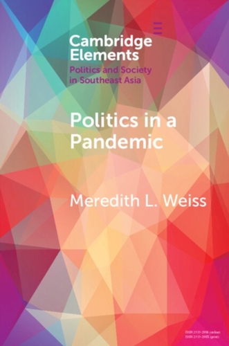 Politics in a Pandemic