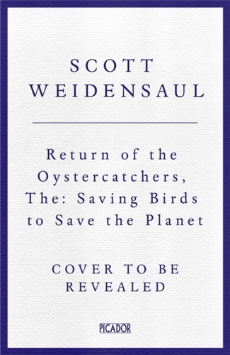 The Return of the Oystercatcher