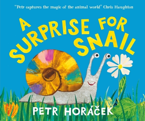 A Surprise for Snail