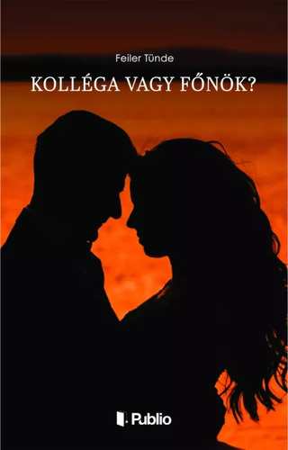 Kolléga vagy főnök?