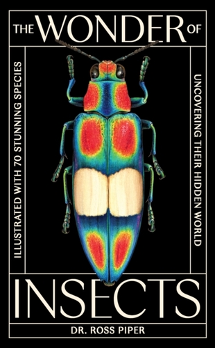 The Wonder of Insects: Uncovering their Hidden World