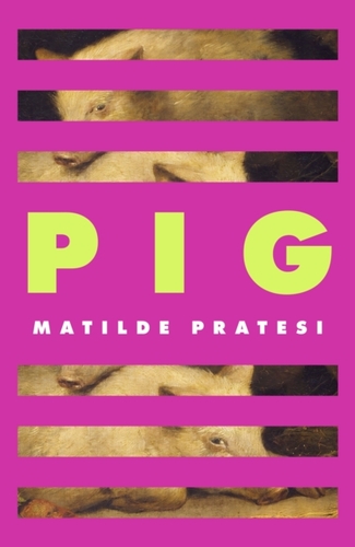 Pig