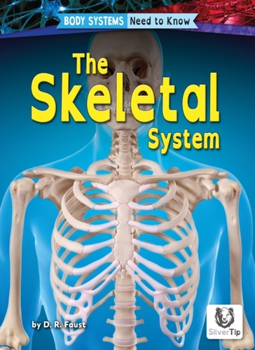 Skeletal System
