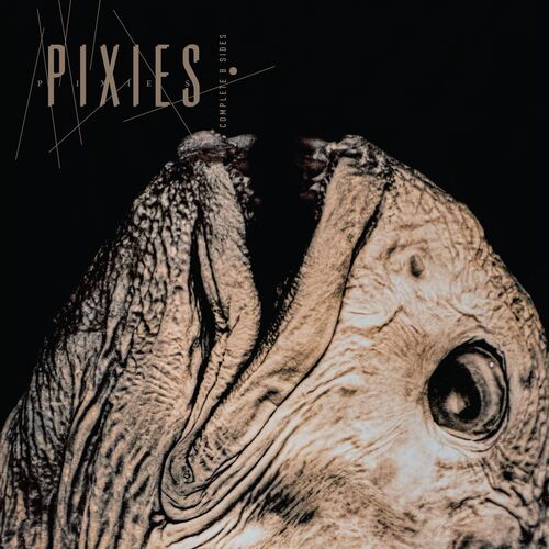 Pixies - Complete B-Sides 1988-1997 (Remastered + 6 Bonus Tracks) 2CD