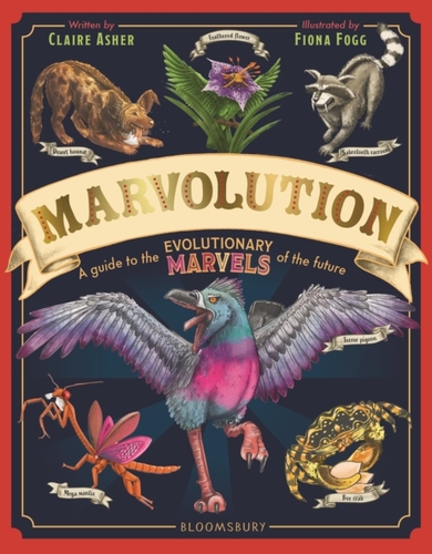Marvolution