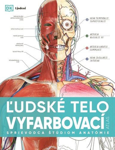 Ľudské telo - vyfarbovací atlas