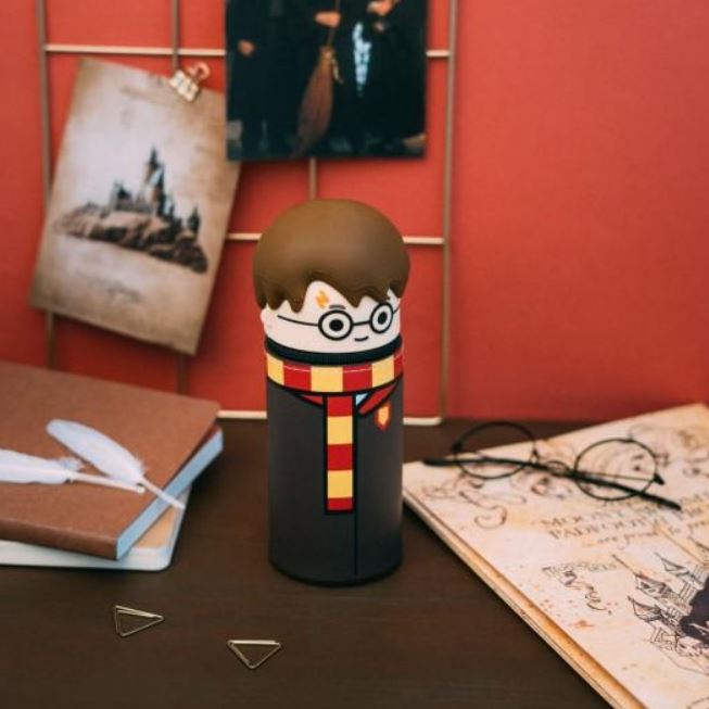 HARRY POTTER 3D PÚZDRO – HARRY