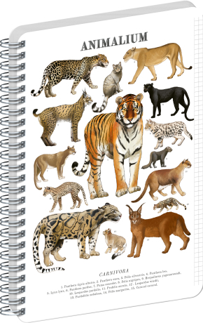 NOTIQUE Spirálový blok Animalium – Kočkovité šelmy, čtverečkovaný, A4