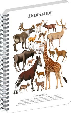 NOTIQUE Spirálový blok Animalium – Sudokopytníci, čistý, A4