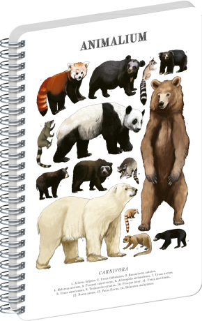 NOTIQUE Spirálový blok Animalium – Medvědovité šelmy, čistý, A5