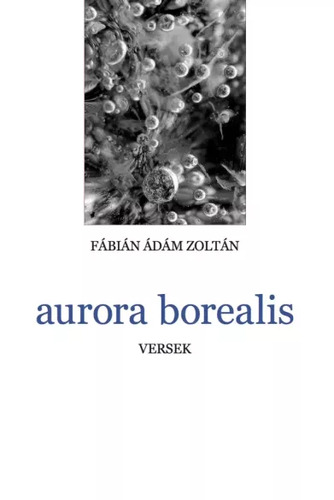 aurora borealis