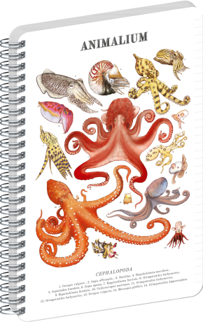 NOTIQUE Spirálový blok Animalium – Hlavonožci, linkovaný, A5