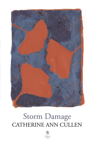 Storm Damage