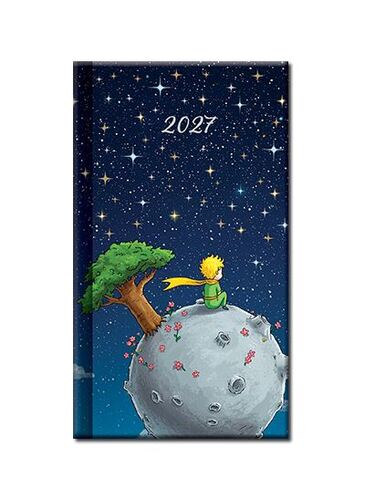 Diáre Mini diár A6 - ART MALÝ PRINC 2027