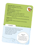Hra Expedícia príroda: 50 vtákov Mindok (slovenská verzia)