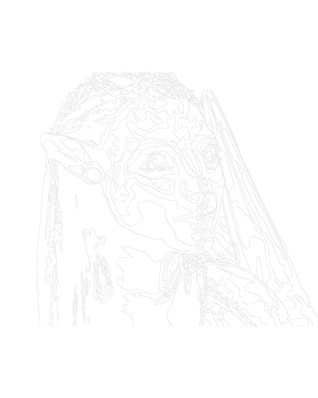 Maľovanie podľa čísel Avatar: Neytiri 40x50cm Zuty