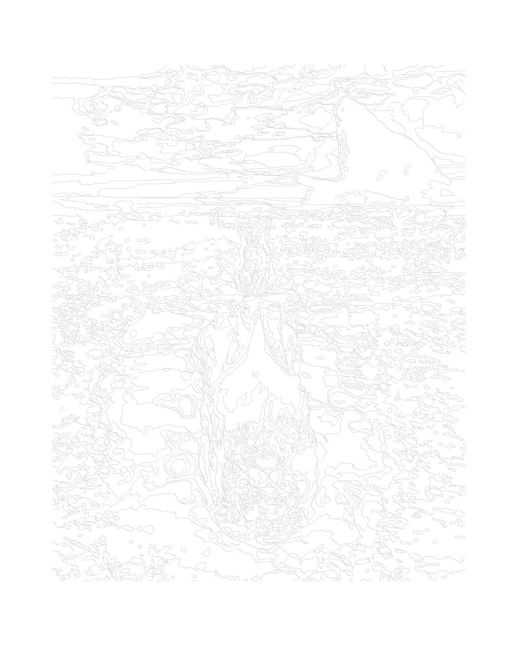 Maľovanie podľa čísel Levíča a lev 40x50cm Zuty