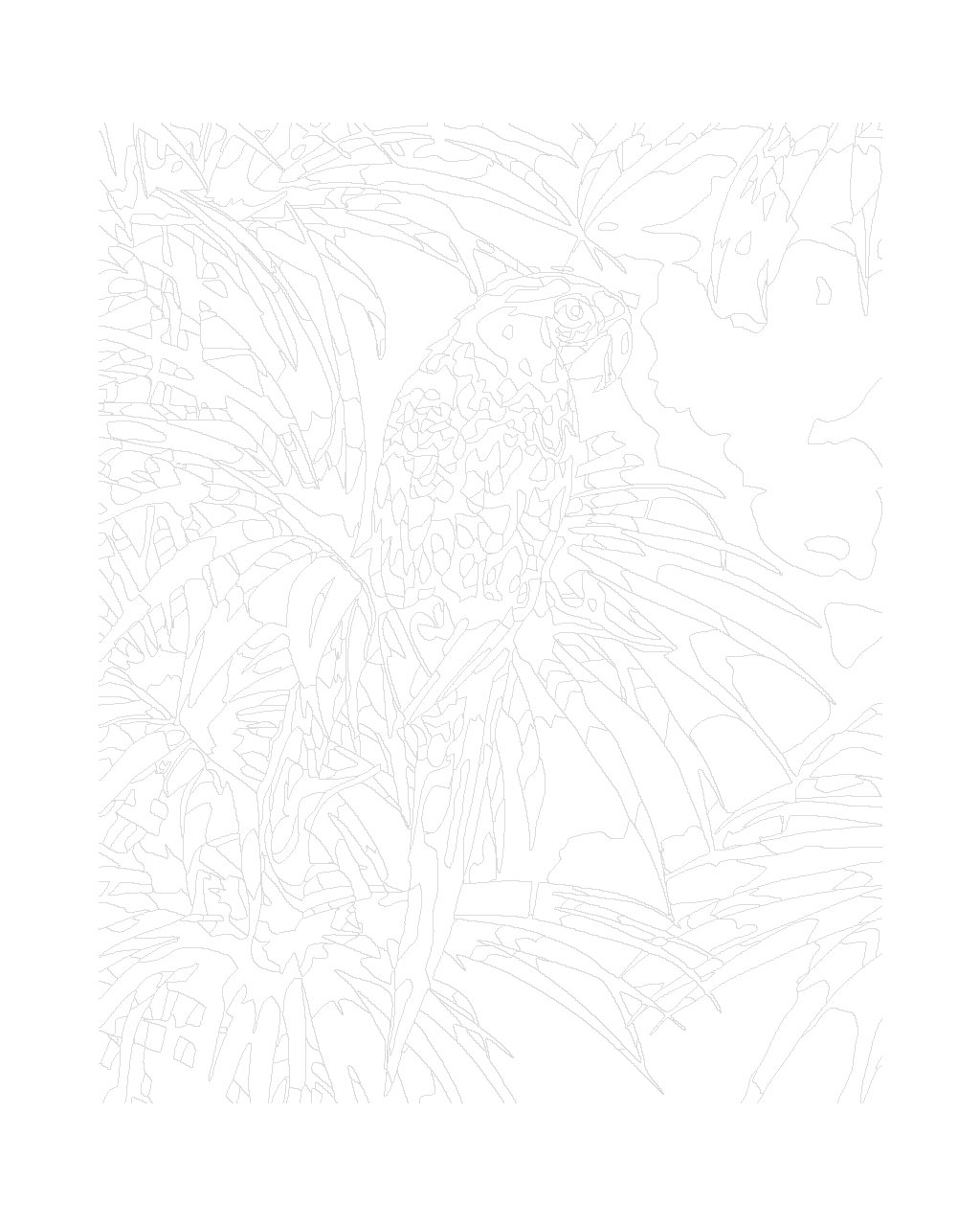 Maľovanie podľa čísel Papagáj a tropické listy 40x50cm Zuty