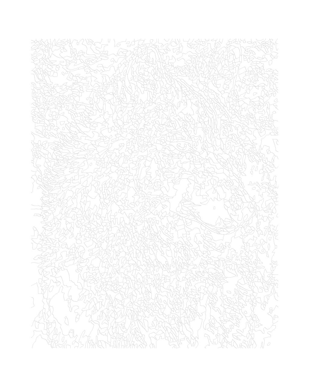 Maľovanie podľa čísel Portrét vlka 40x50cm Zuty