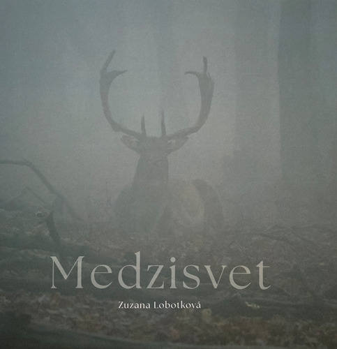 Medzisvet