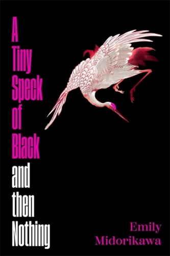 Tiny Speck of Black and Then Nothing