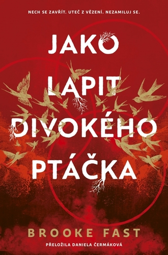Jako lapit divokého ptáčka