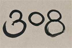 308