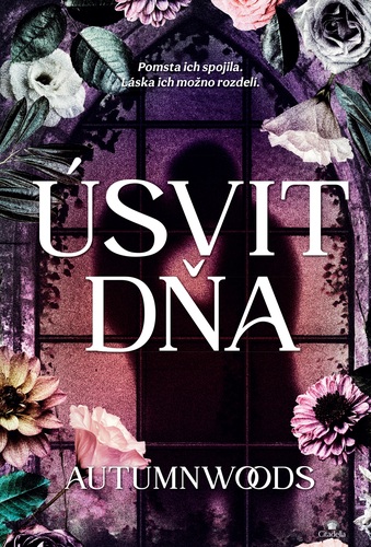Úsvit dňa