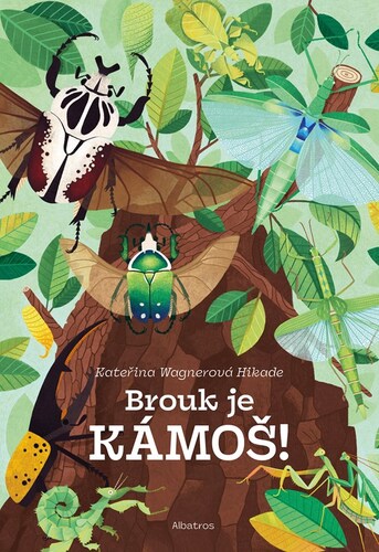 Brouk je kámoš - příručka pro chovatele