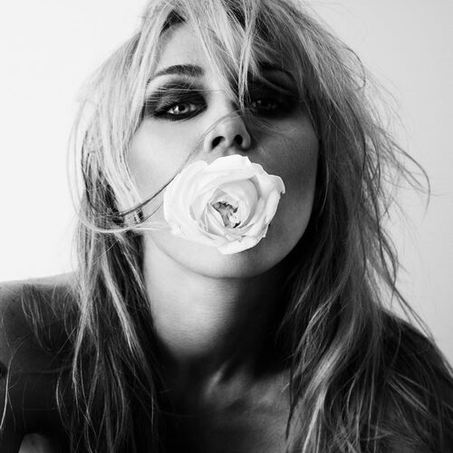 Miley - Bass Persuades (Deluxe) CD