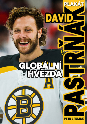 David Pastrňák - Globální hvězda