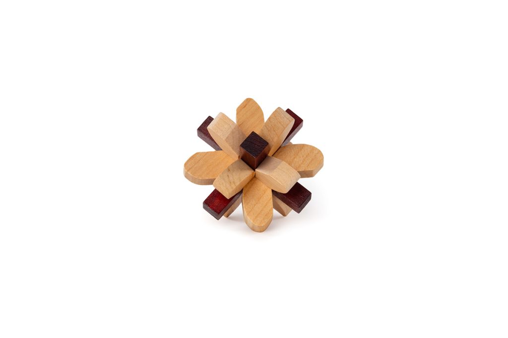 RecentToys Brain Puzzle 2 - Temenný lalok