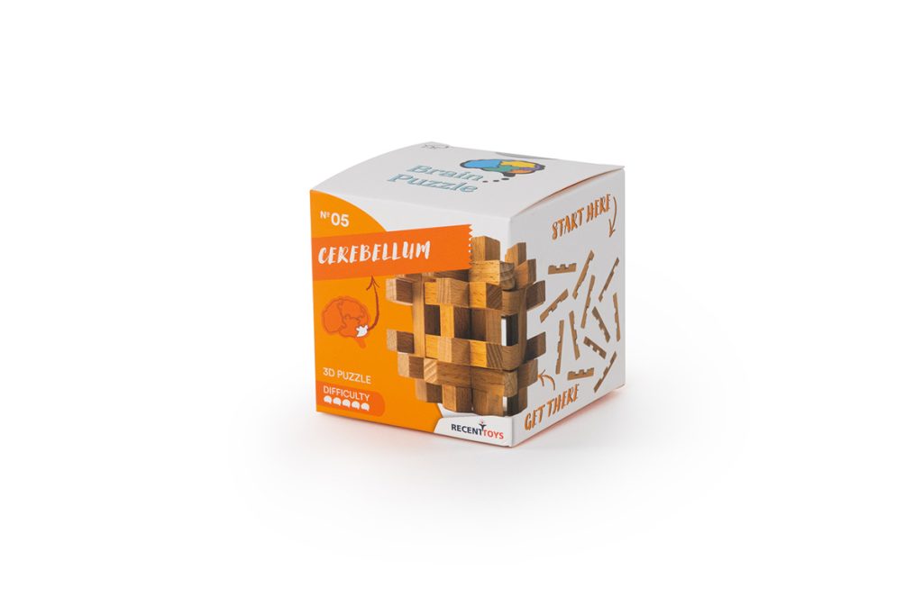 RecentToys Brain Puzzle 5 - Mozoček