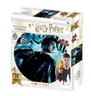 3D puzzle Harry Potter 300 dielikov